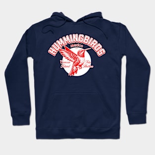 The hummingbirds from Isla Holbox in Mexico Hoodie